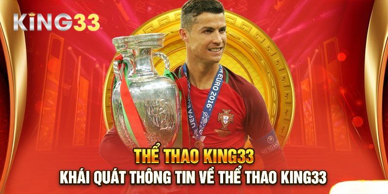 Đôi nét tổng quan về sảnh thể thao hấp dẫn