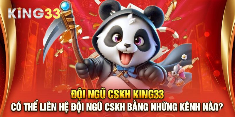 Đội ngũ làm việc tận tâm, chuyên môn cao